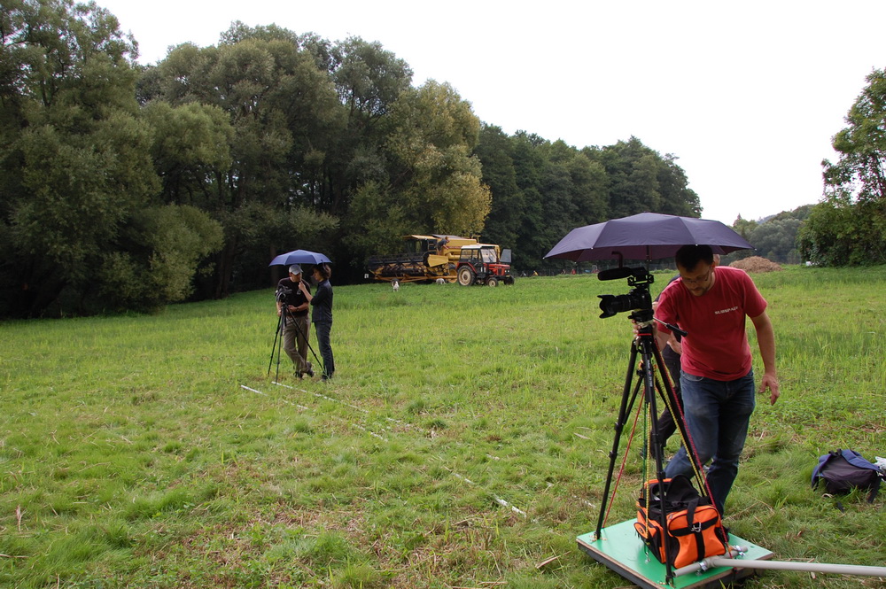 Shooting even during rain and harvester sound (in the background).